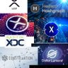 Фото профиля thePhoenix.xrp