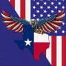 Texas Patriot 🇺🇸's profile picture