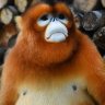 一夫's profile picture