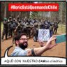 Mimy_ Lu💚EN CONTRA 🇨🇱En Resistencia 📢Otra No's profile picture