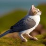 ミータン profil fotoğrafı