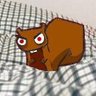 a quantum of squirrel 的头像