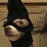 Ant's profile picture