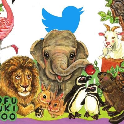【休園中】甲府市遊亀公園附属動物園　公式ツイッター's profile picture