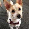 Julie. profil fotoğrafı
