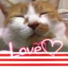 YOSSHI・ω・I profil fotoğrafı