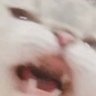 Profilbild von 小王同志（天道残缺匹夫补，只为苍生不为主）