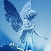 Angel Down's profile picture