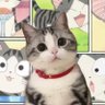 denisewu's profile picture