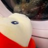 Profilbild von まんちゃん( ˘꒳˘)フンフン