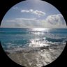🥈's profile picture