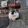 BigBag profil fotoğrafı