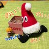 むろの's profile picture