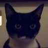 Profilbild von RoryDiamond