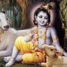 Prashant Pujari's profile picture