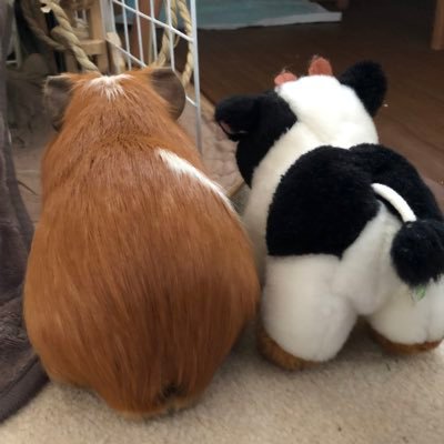 まりまる's profile picture