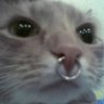 Profilbild von Fru Fernet