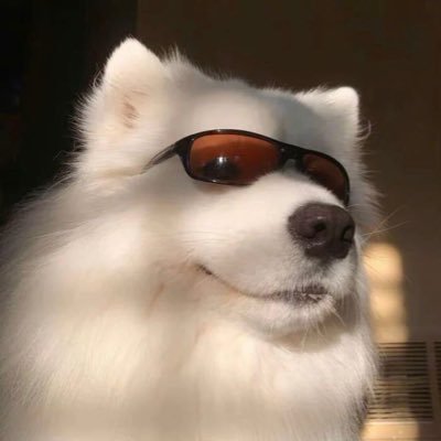 zengx123's profile picture