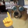Profilbild von El perro nerd