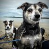 Sandra Duffy profil fotoğrafı