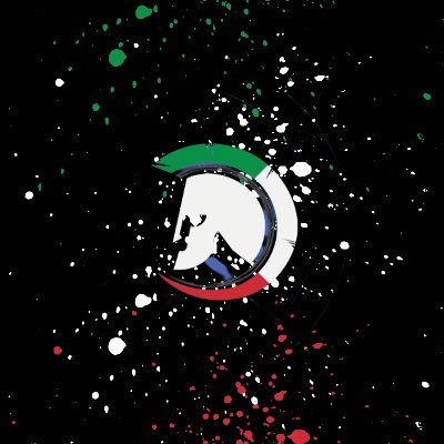 Team Italy's profile picture