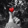 غسق's profile picture