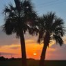 Sunsetting Libs🇺🇸 profil fotoğrafı