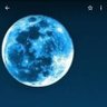 BLUEMOON's profile picture