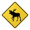 Profilbild von Yesterday's Moose