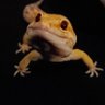 Linda Johnson's profile picture
