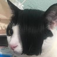 rawslaug's profile picture