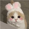 Fuuuu's profile picture