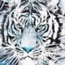 Didier's profile picture