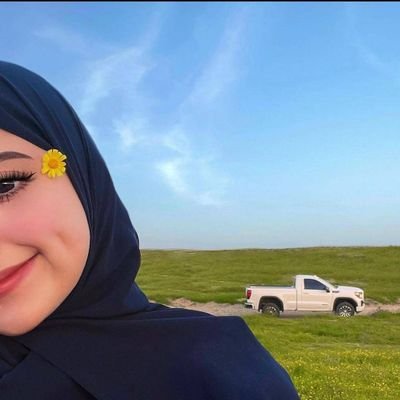 Noor Alnaemy's profile picture