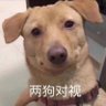 Фото профиля 勤劳的老农民