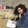 Profilbild von زندانی گاوچران