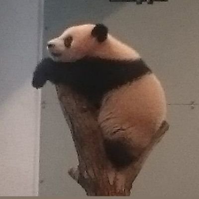 きくじろう(おきく)'s profile picture