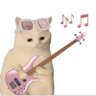 dingingcingking's profile picture