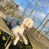 JEYG1106's profile picture