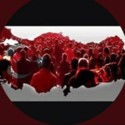 NihlEry's profile picture