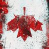 Amanda White 🇳🇱🇬🇧🇨🇦 #NoToDigitalID #NoToCBDC's profile picture
