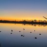 Фото профиля Brandon Liles