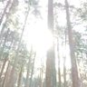 ะคะพัะพ ะฟัะพัะธะปั tripใplanet