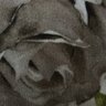 Gōkhan Kım profil fotoğrafı