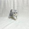 มะลิลา's profile picture