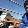 Erkan Gulec profil fotoğrafı