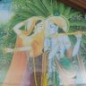 Krishna's profile picture