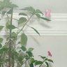 Yarınlar Bizim İçin profil fotoğrafı