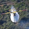 Frejo 🛩️'s profile picture