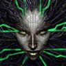 Фото профиля computing